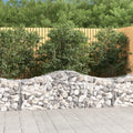 vidaXL Gabion Basket Arched Gabion Basket Planter for Flower Galvanized Iron